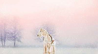 森林 女孩 冬天 马 雪 背景 幻想 景观
