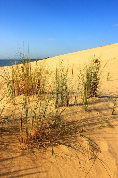 皮拉沙丘 沙丘 海 蓝色的 海滩 点心 沙漠 大海沙滩