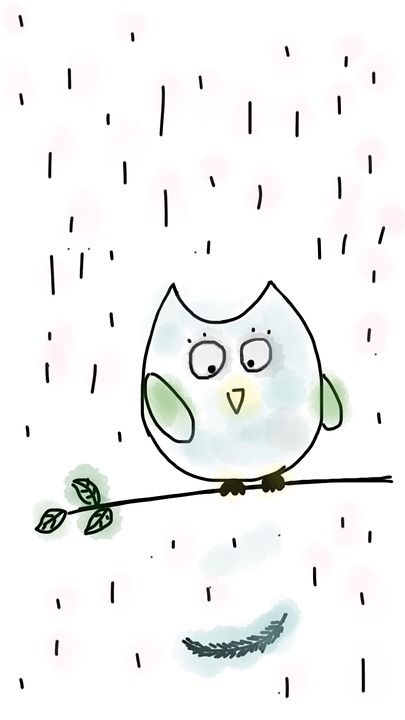 美国在线 鸟 树 羽毛 枝杈 户外的 动物 枝条 春天 雨