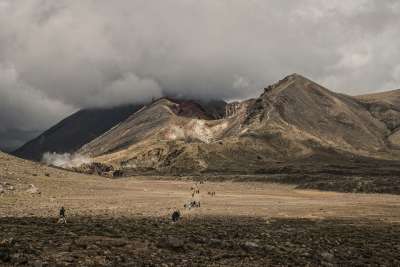 汤加里罗 新西兰 火山 徒步旅行 汤加里罗山 抽烟 火山烟雾 景观