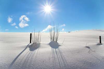 冬天 雪 冬季景观 下雪的 冬梦 逆光 寒冷的 白色的 劳 光