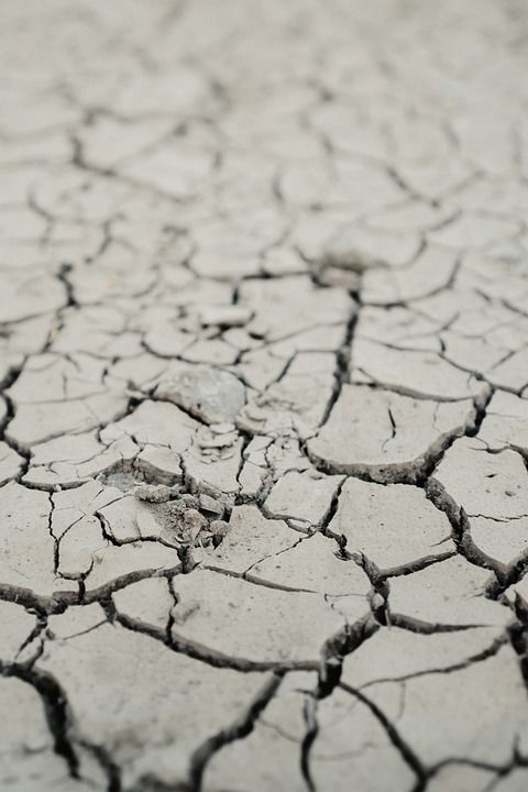 地下 脆 干燥 地面 开裂 模板 自然 干旱 质地 结构体