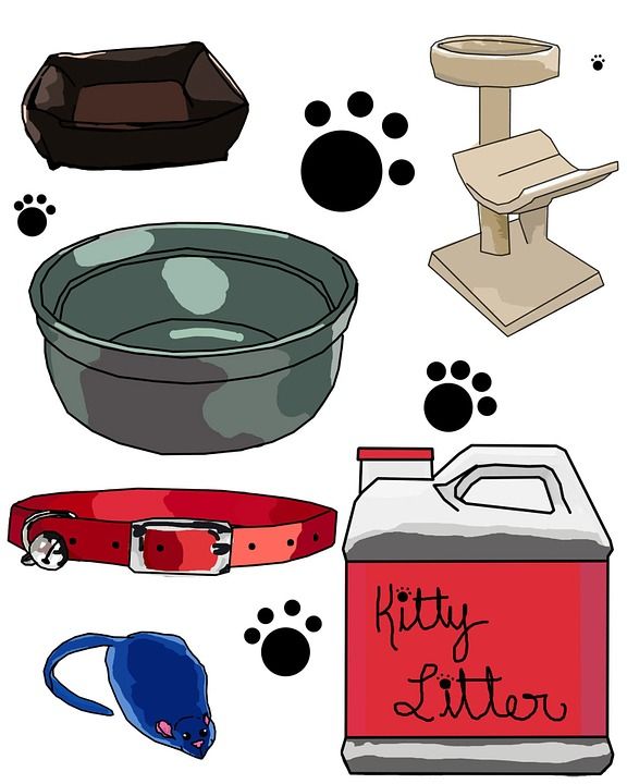 猫 小猫 床 树 基蒂 垃圾 衣领 碗 玩具 鼠 夹子