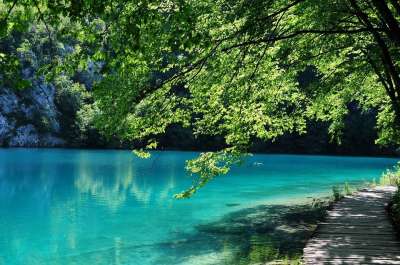 十六湖 克罗地亚 水 绿色 公园 湖 森林 景观 荒野 风景