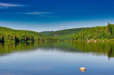 树木 湖 自然保护区 水 环境 夏天 魁北克 加拿大 自然
