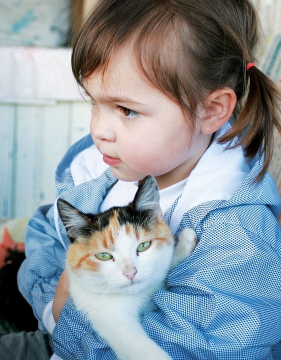 女孩 猫 孩子 动物 拥抱