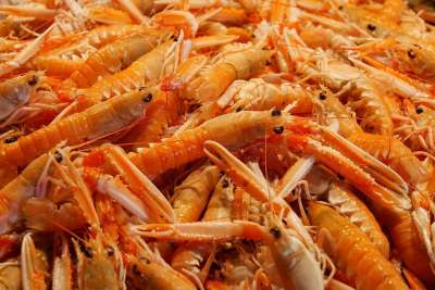 食物 一顿饭 海鲜 虾 甲壳类 营养 维生素 海鲜市场 新鲜