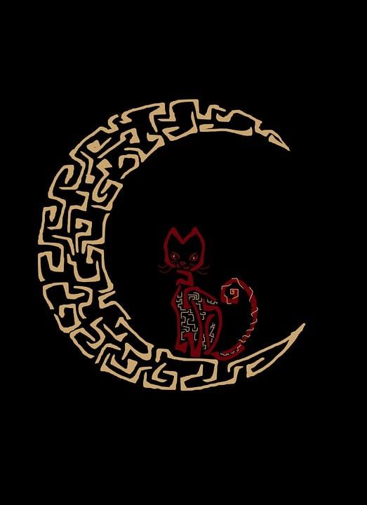 午夜 月亮 猫 黑暗的 梦 做梦 万圣节 夜晚 黑猫