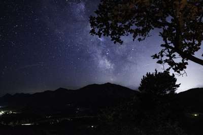 天堂 树 景观 自然 光 黑暗 星星 黑暗的 气氛 夜晚
