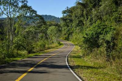 路 自然 旅行 勘探 户外 树木 路 路 路 路 路 旅行