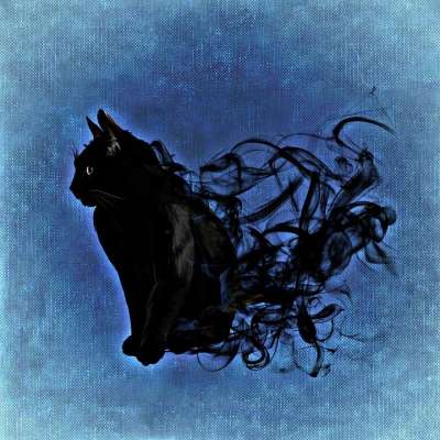 猫 神秘 抽象的 黑色的 幻想