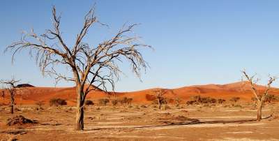 沙漠 纳米比亚 沙丘 非洲 Sossusvlei 沙漠景观 苏苏维利