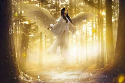 女士 天使 仙女 森林 绘画 灵性 神秘 魔法 超现实的 小说
