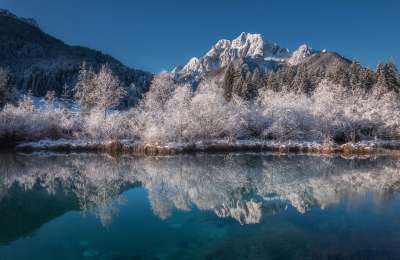 高山 阿尔卑斯山 美丽的 美丽 蓝色的 目的地 森林 湖 景观