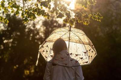 雨伞 阳光 女士 雨 光 女孩 枝杈 树叶 户外 自然 散景