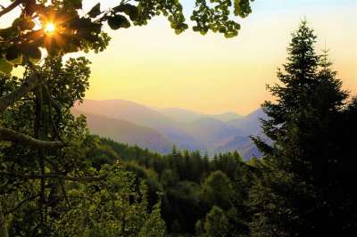 看法 自然 景观 天空 农村 森林 日落 树木 晚上 山