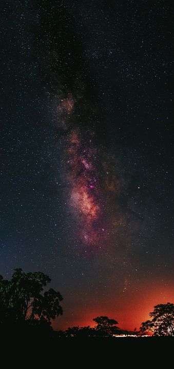 星空 夜景 银河 轮廓 树木 夜空 宇宙 天文学 天文摄影