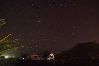 星星 夜晚 景观 棕榈树 情绪 宇宙 星空帐篷