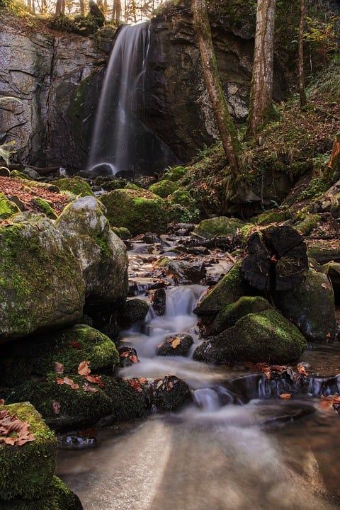 瀑布 自然 河 溪 岩石 森林 树木 水 景观 巴赫 下降