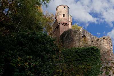 Neckarsteinach 城堡 内卡 废墟 城堡废墟 德国