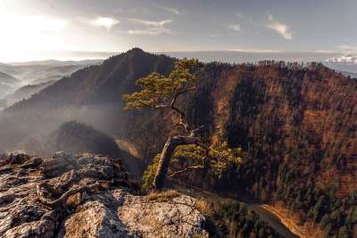 看法 山 景观 自然 天空 风景 森林 丘陵 树木 公园