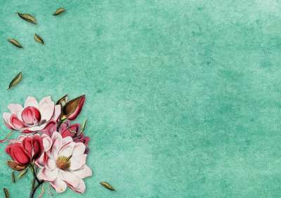花 玉兰 纸 年份 优质的 老的 怀旧 浪漫 高贵 情感