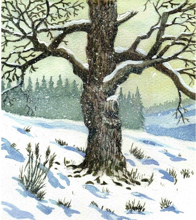 水彩 绘画 树 冬季景观 雪