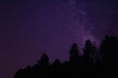夜空 星星 星空 松树 星座 夜晚的星星 夜晚 山 荒野