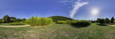 公园 景观 竹林 全景图