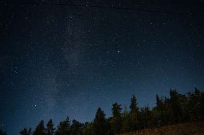 星星 天空 夜晚 树木 星空 星夜 宇宙 观星 夜空 银河