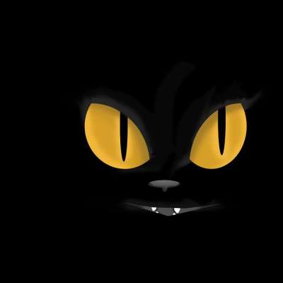 猫 猫眼 嘴 野生动物 发光 黑暗 看 夜晚 黑色的