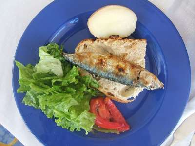 沙丁鱼 食物 鱼 盘子 海鲜 新鲜的 海 饮食 地中海 生的
