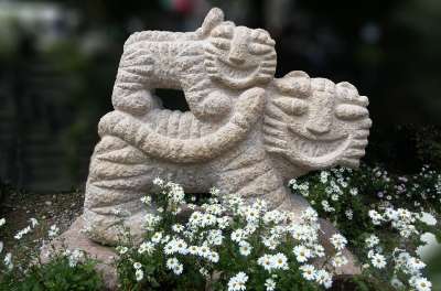 九条町 老虎 妈妈 婴儿 白色的花 花 精神水平的历史 世宗座城市