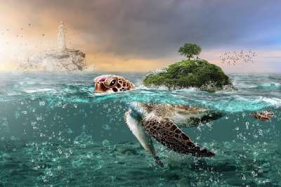 水 海 自然 夏天 海洋 海滨 海滩 户外 海浪 太阳