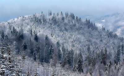 雪 弗罗斯特 太阳 冬季 冰 性质 比尔 白色的 场地 景观