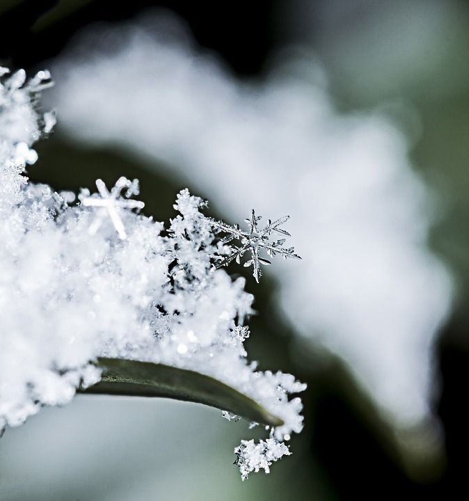 雪花 冻结 冷冻 冰 季节 雪 下雪 暴风雪 冬天 追踪