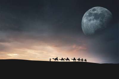 景观 沙漠 骆驼 月亮 夜晚 日落 云 剪影