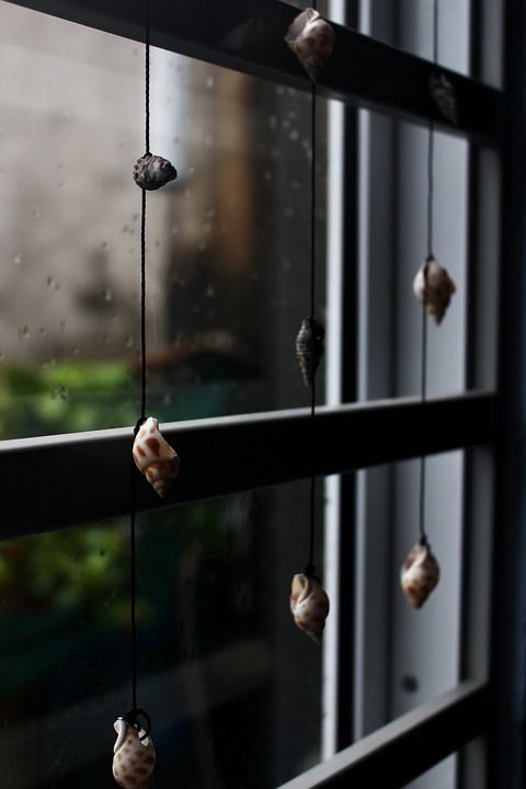 视窗 雨 蜗牛 百叶窗蜗牛 眼镜 玻璃门 模糊 窗口 海蜗牛