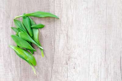 木头 表 草本植物 大蒜 食物 绿色 香料 叶子 蔬菜 荒野