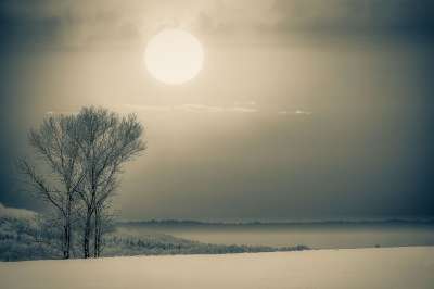 冬天 雪 原野 树木 太阳 阳光 天空 云 薄雾 下雪的