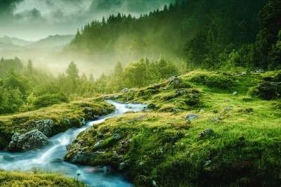 生成的Ai 幻想 景观 性质 河 树木 林 多雾路段