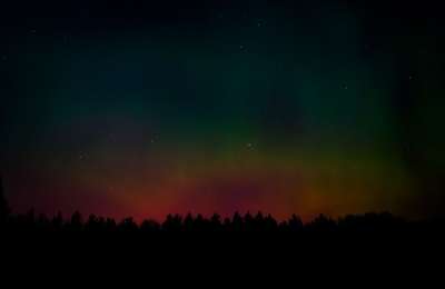 北极光 夜晚 天空 星星 颜色 森林 轮廓