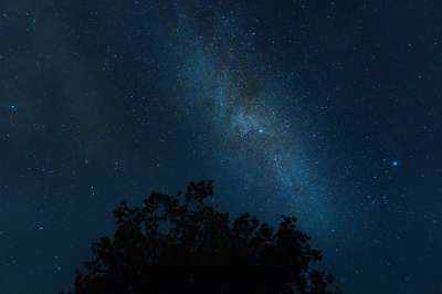 星星 天空 夜晚 树 轮廓 夜空 繁星点点 星空 星夜 银河