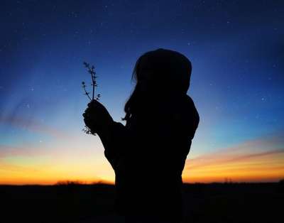 女士 花朵 日落 星空 轮廓