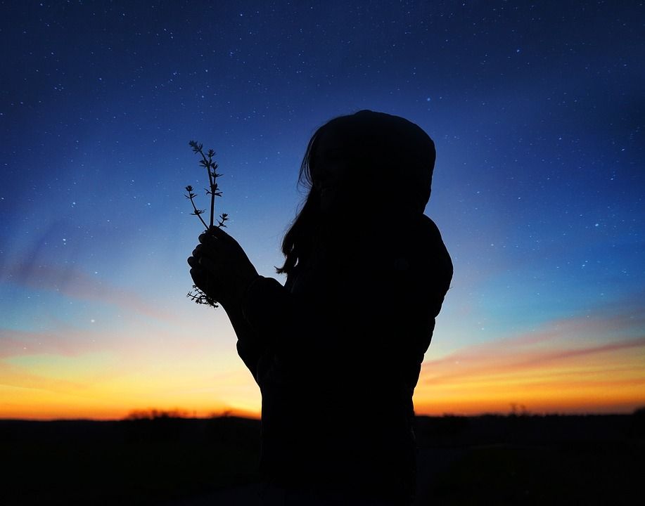 女士, 花朵, 日落, 星空, 轮廓