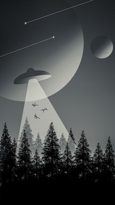 行星 飞船 星星 夜晚 月亮 森林 树