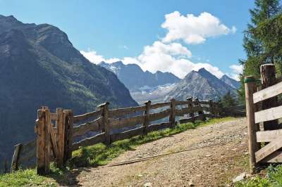 小路 山 阿尔卑斯山 栅栏 阿尔姆 南蒂罗尔 远足 自然 景观