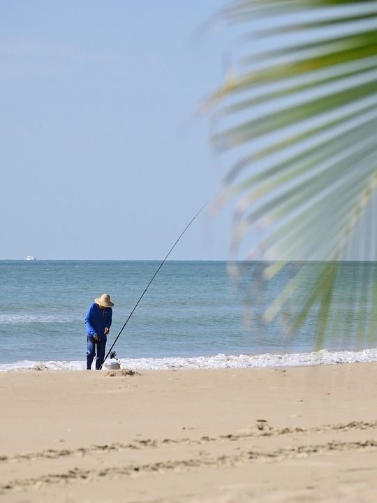 大海 沙滩 钓鱼