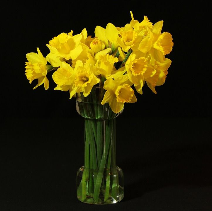花瓶, 水仙花, 黄水仙, 水仙, 花束, 春天的花朵, 黄色