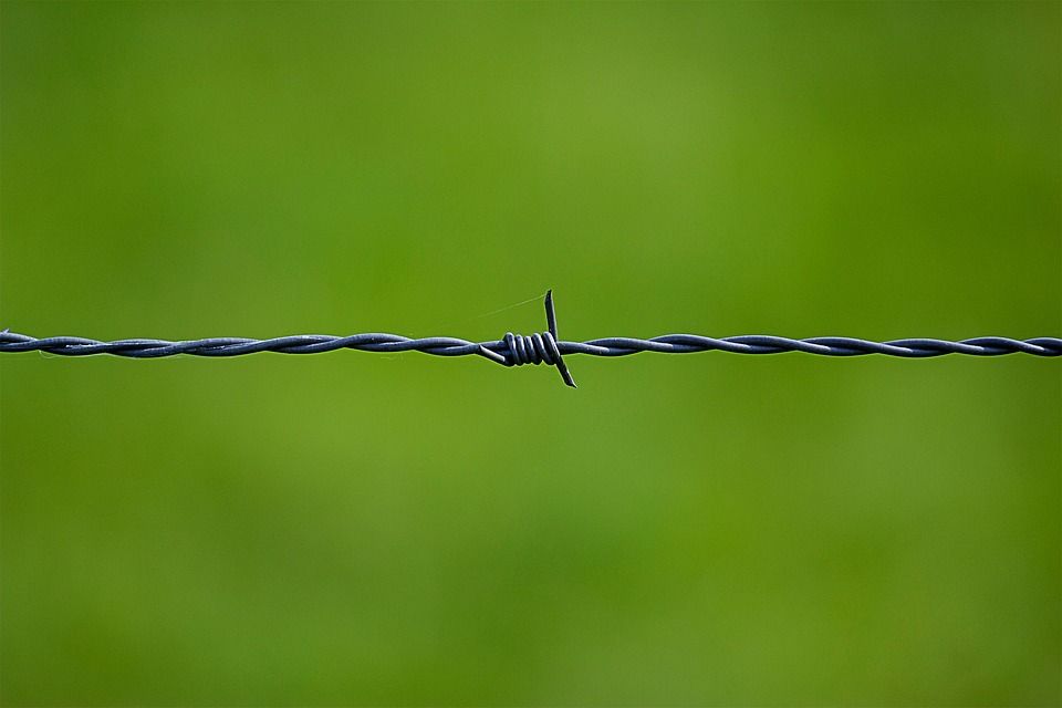 铁丝网, 金属丝, 安全, 心轴, 关闭, 栅栏, 绿色, 景深, 划界